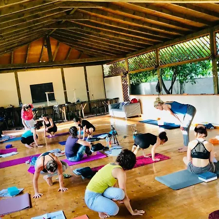 Sunny Garden 아파트호텔 3*