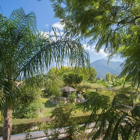 Sunny Garden