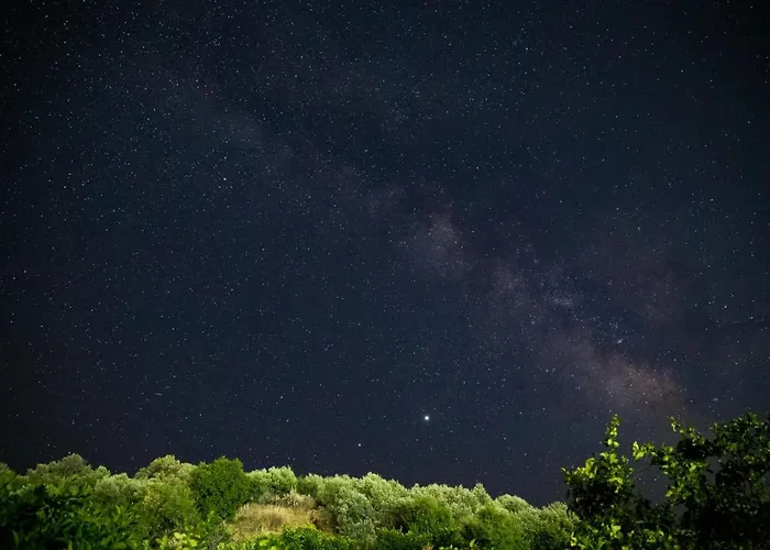 Sunny Garden Ξενοδοχείο με διαμερίσματα Epidaurus
